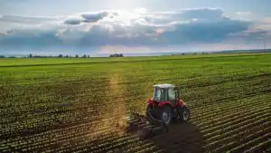 campo opt