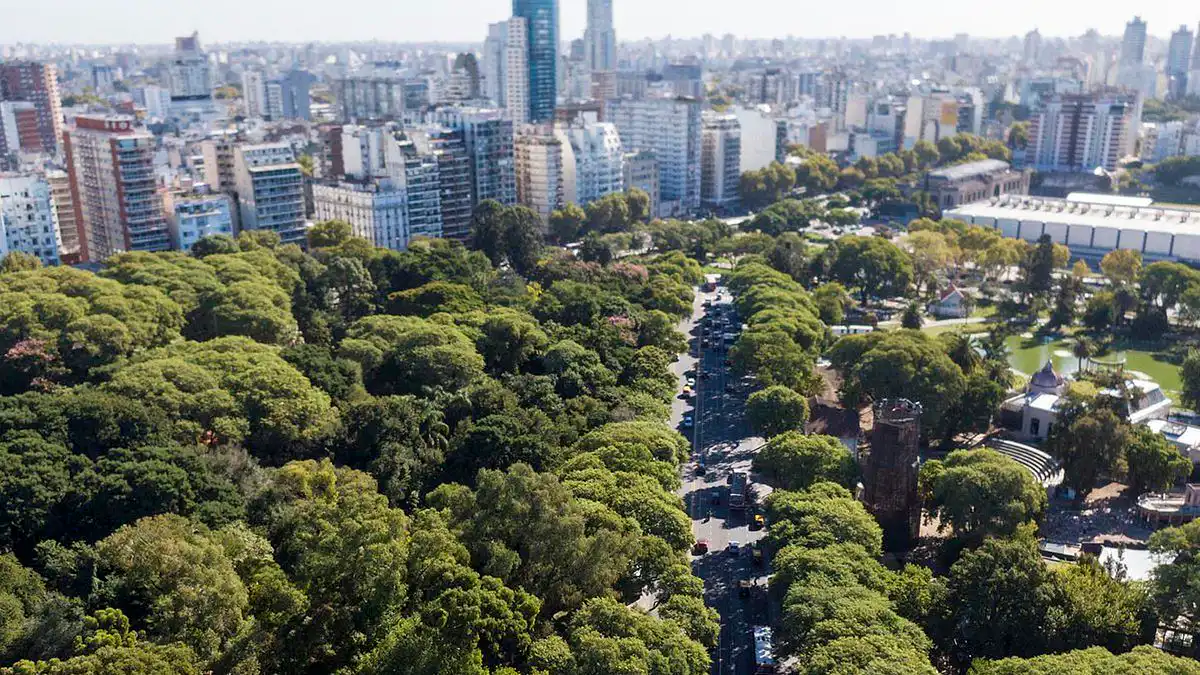 "El arbolado es un conjunto de seres vivos y no un mobiliario porteño"
