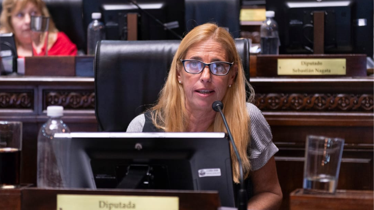 Legisladora porteña reclama transparencia fiscal en Ciudad