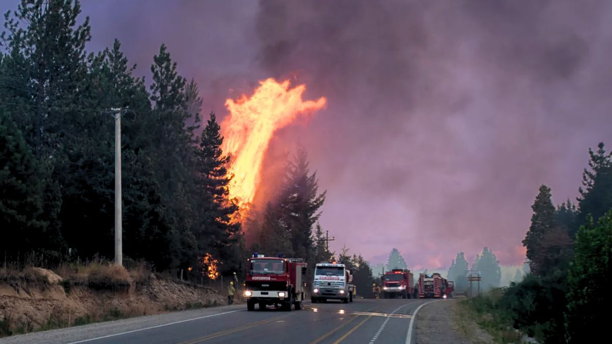 Los incendios forestales continúan entre la organización comunitaria y la ausencia estatal